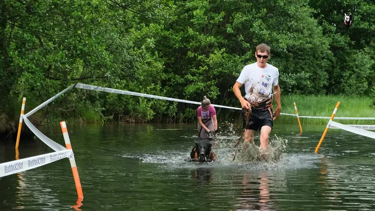 Съемки животных. Репортажная фото и видеосъемка в Москве под ключ