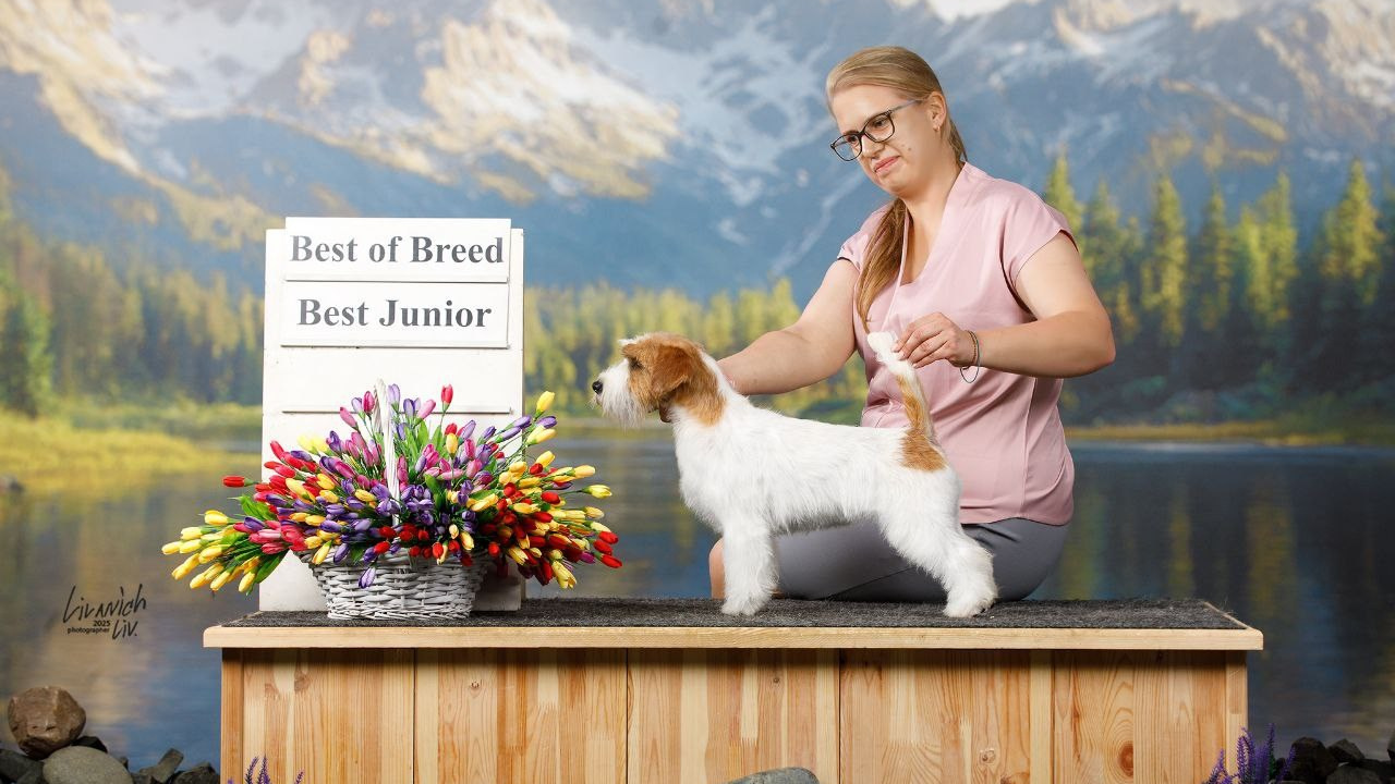 Lovely-Orange Mango Twice