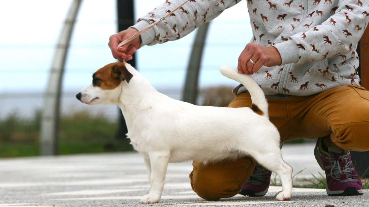 Lovely-Orange Money Money