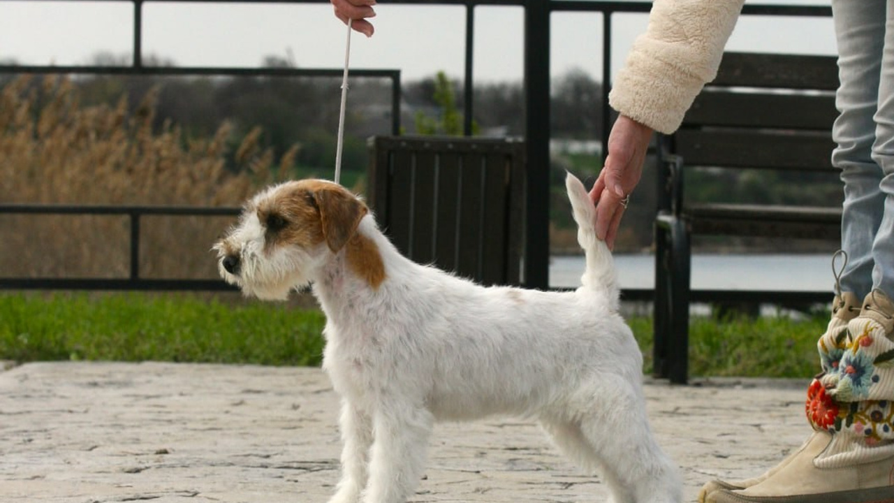 Lovely-Orange Coza Nostra