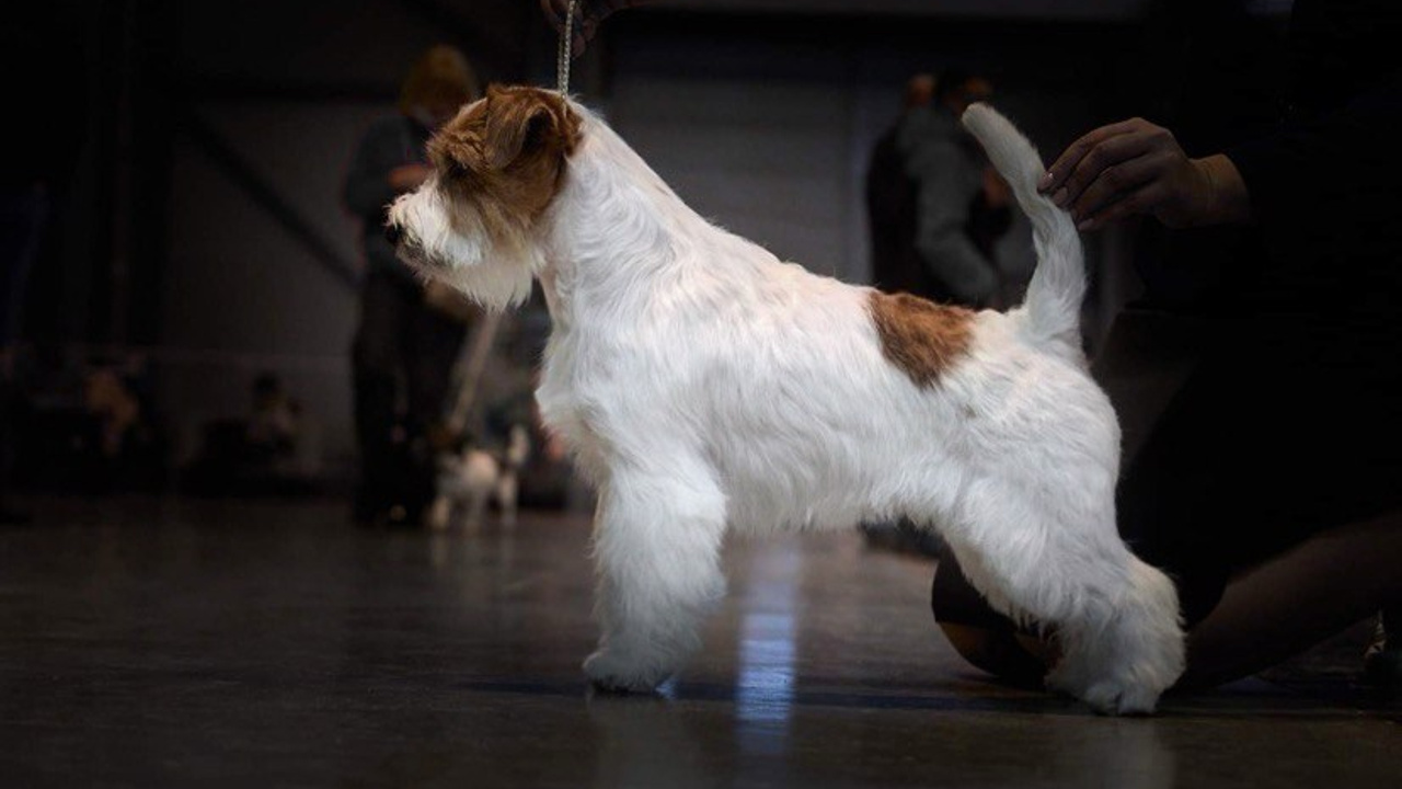 Lovely-Orange Need Hugs