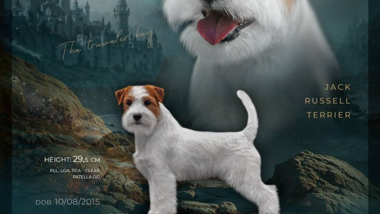 Lovely-Orange Mascarpone