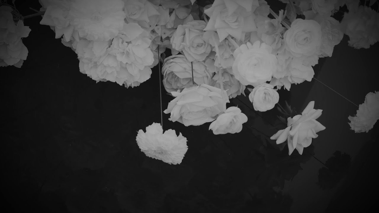 ПОРТФОЛИО. Видеосъёмка свадеб