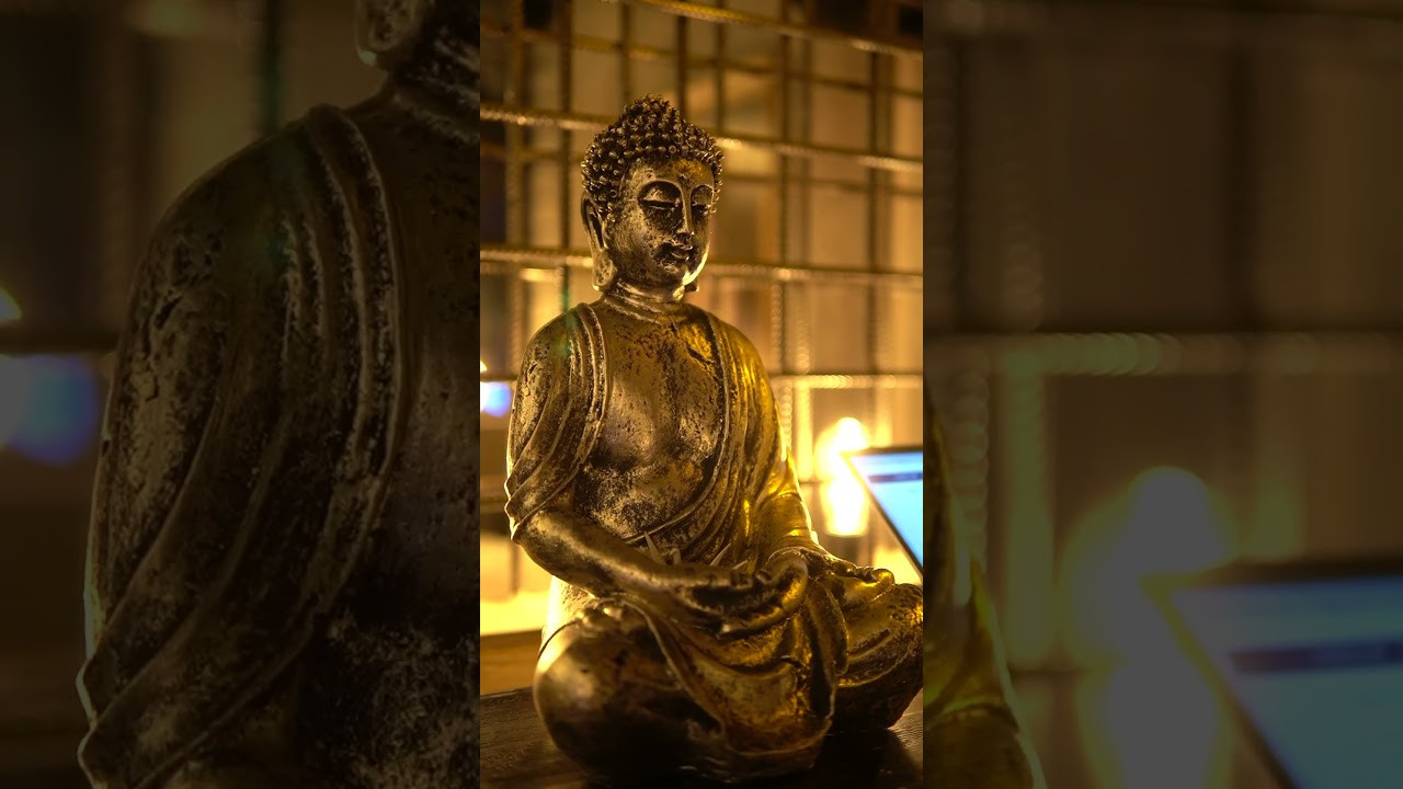 REELS. Фото | Видео Контент Мишель Ватаманюк