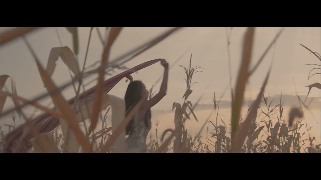 LoveStory. Prestige Films. Свадебные съемки в Казахстане, город Алматы