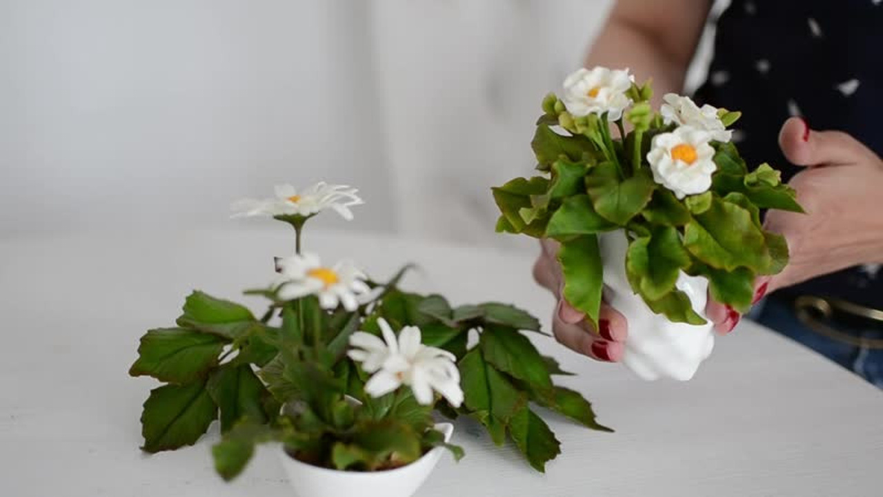 Видеоинтервью, видеограф Балашиха, видеомейкер Балашиха, видео для контента, видеовизитка. Свадебный и семейный фотограф Екатерина Пушан. Москва, Балашиха, Железнодорожный, Солнечногорск