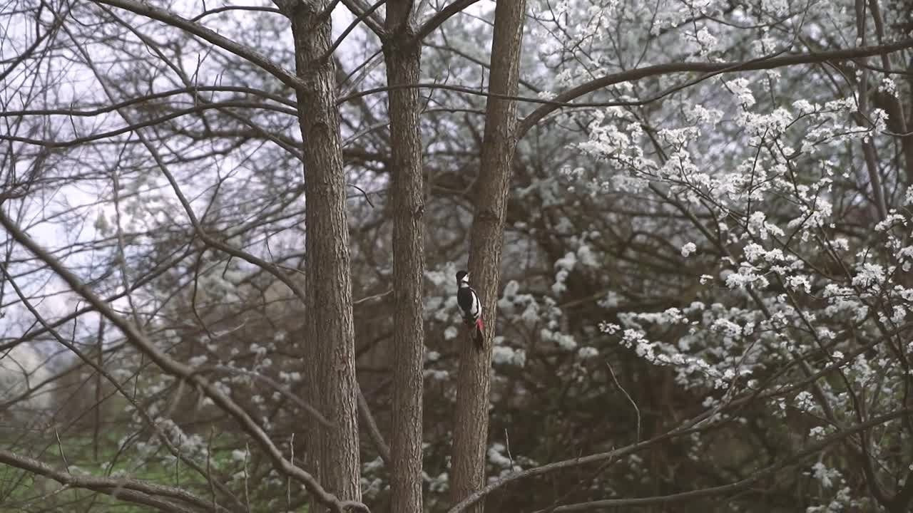 ВИДЕОСЪЕМКА. Свадебный и семейный фотограф/видеограф в Краснодаре Наталья Осинская