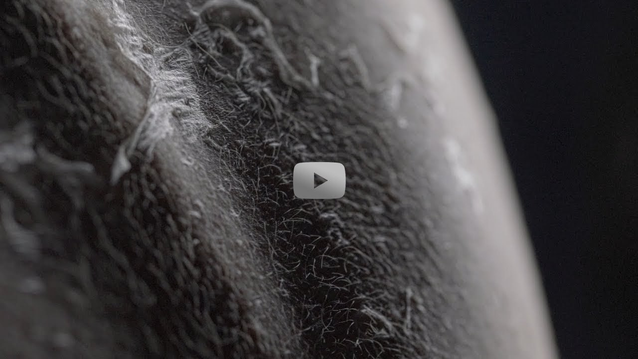 Art. Фотограф Видеограф в Новосибирске. Топовый профессиональный контент