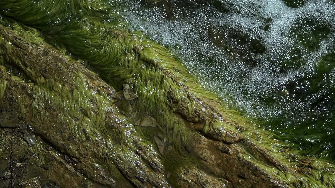 Strong People. Фотограф Видеограф в Новосибирске. Топовый профессиональный контент