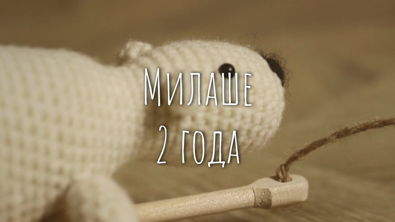 Мероприятия. Фотограф и видеограф Мария Банщикова, Солнечногорск, Москва