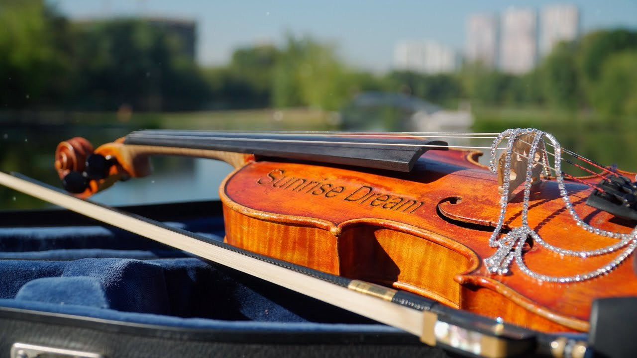 Клиенты. Видеограф Добромыслов