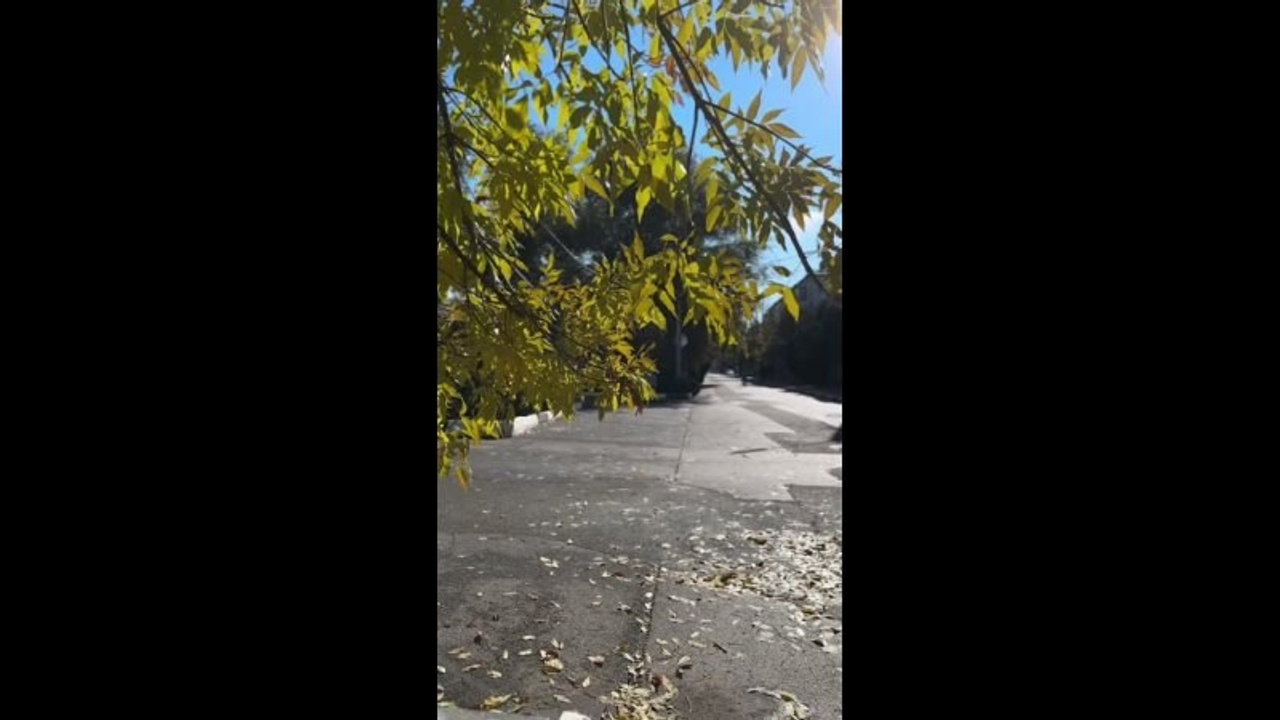 Дарья Шляхова. Фото-момент