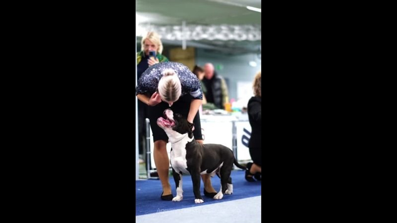 Выставки. Фотограф и видеограф анималист Аганина Дарья