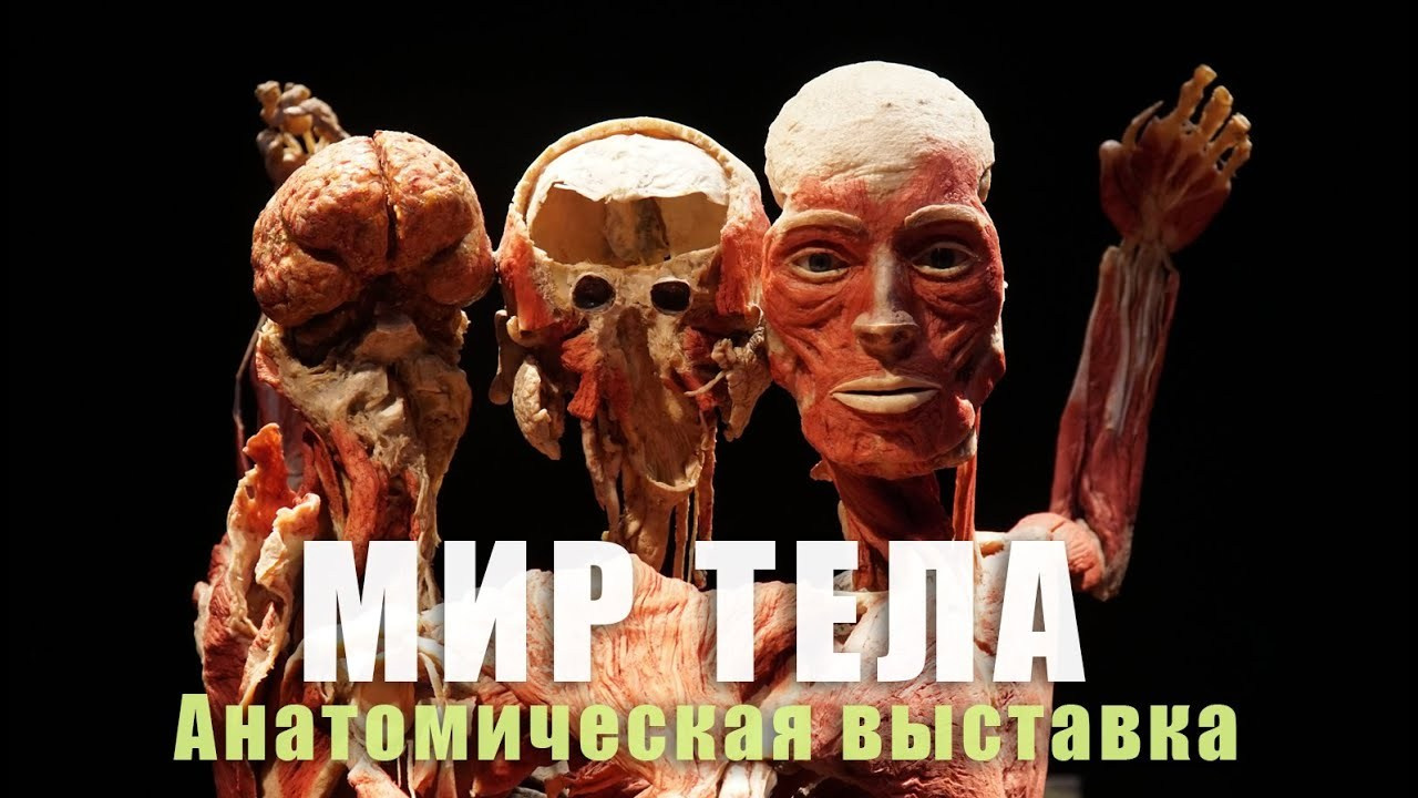 Видеосъемка мероприятий и корпоративов. Фотограф Наталья Погодина в г. Обнинске