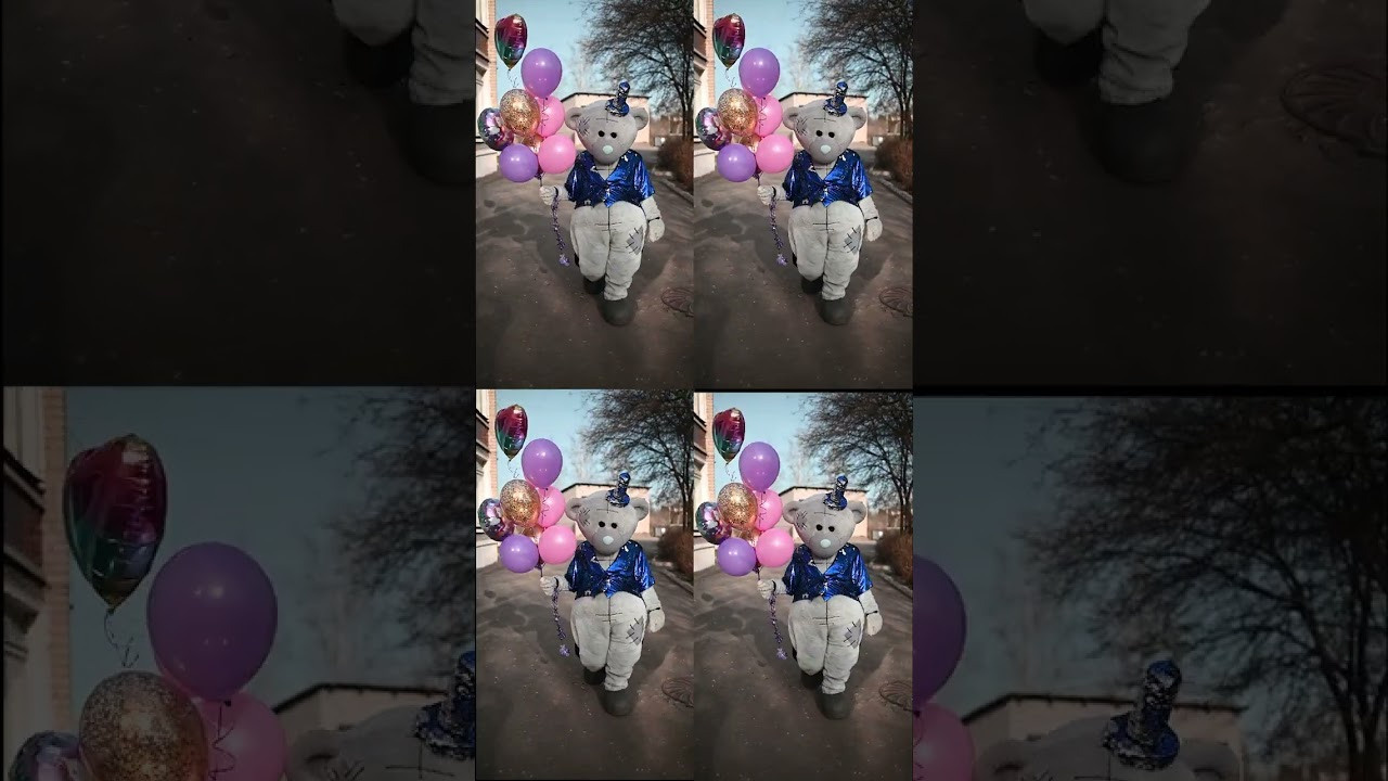 Видео и фото поздравления от Мишка Тедди. Поздравления от Мишки Тедди в Муроме