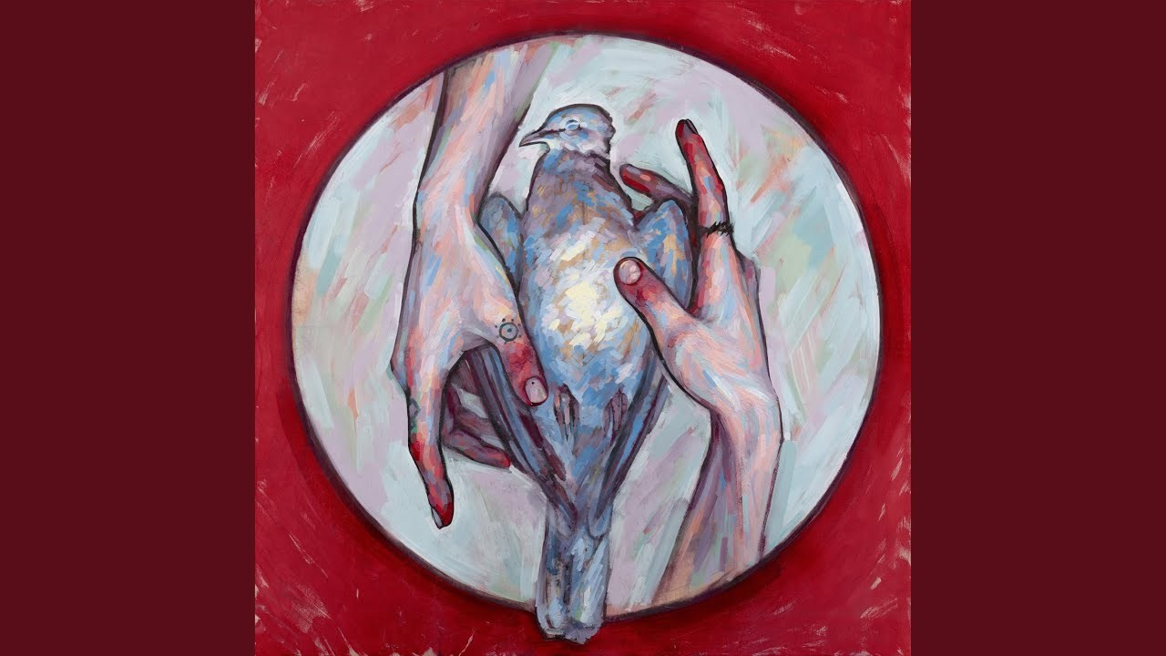 Уж вы голуби. Саша Гдетотам