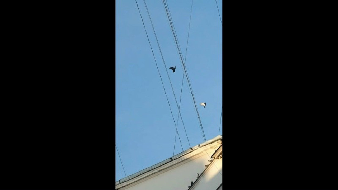 Эстетика. Фотограф, видеограф, визуализатор в Москве Анна Стрельцова