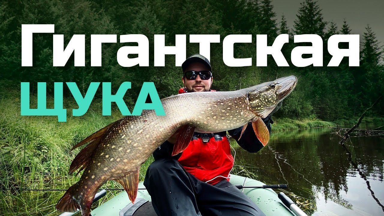 Finntrail. Видеограф, фотограф в Санкт-Петербурге Элеонора Петрова