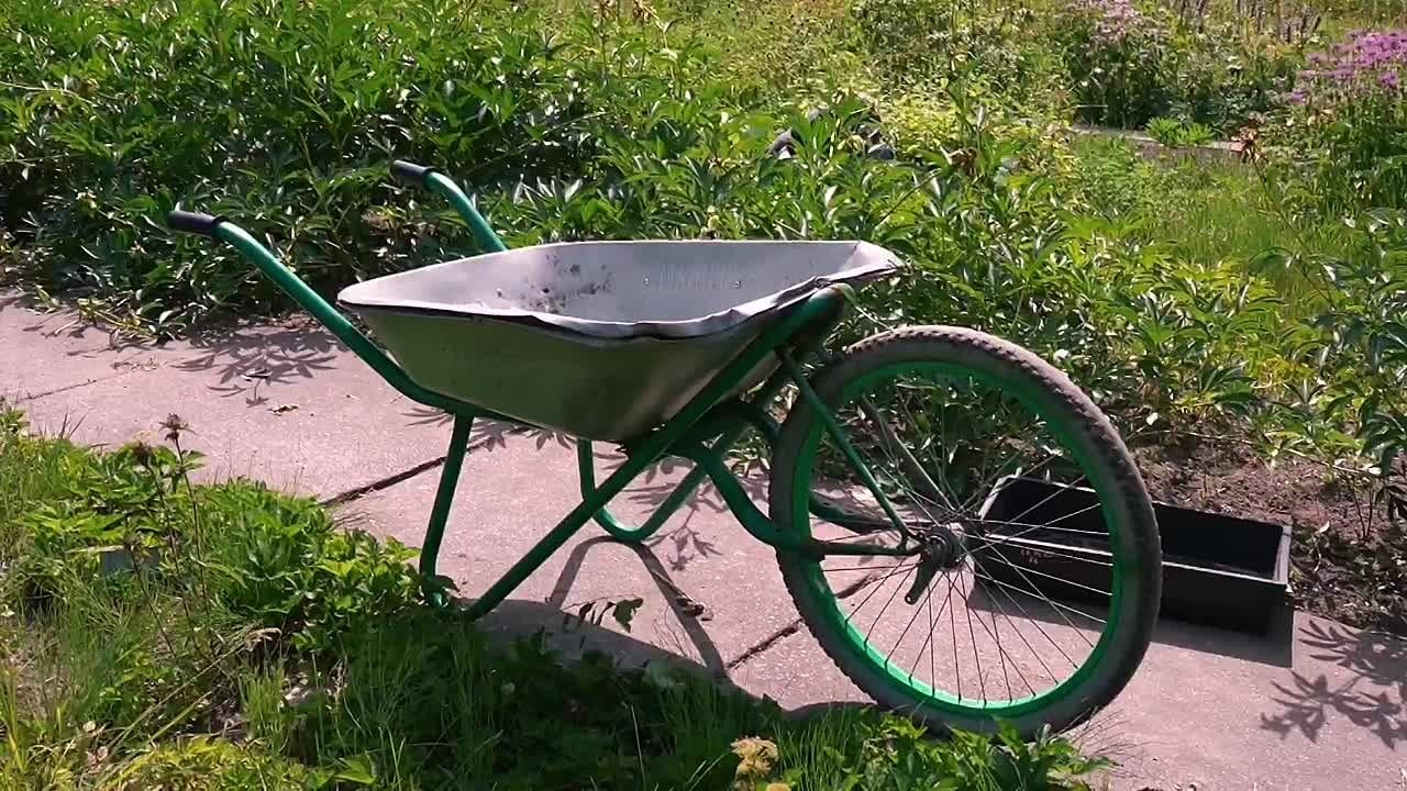 МО Светлановское. Видеограф, фотограф в Санкт-Петербурге Элеонора Петрова