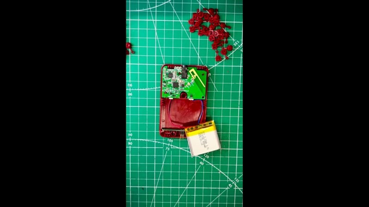 Рилс. Видеограф, фотограф в Санкт-Петербурге Элеонора Петрова