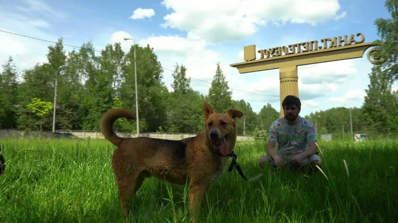 МО Светлановское. Видеограф, фотограф в Санкт-Петербурге Элеонора Петрова