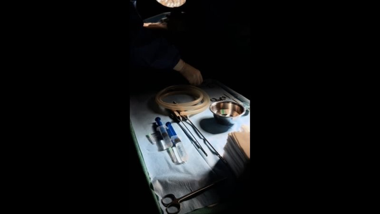 Экспертные видео. Видеоконтент для ваших соцсетей