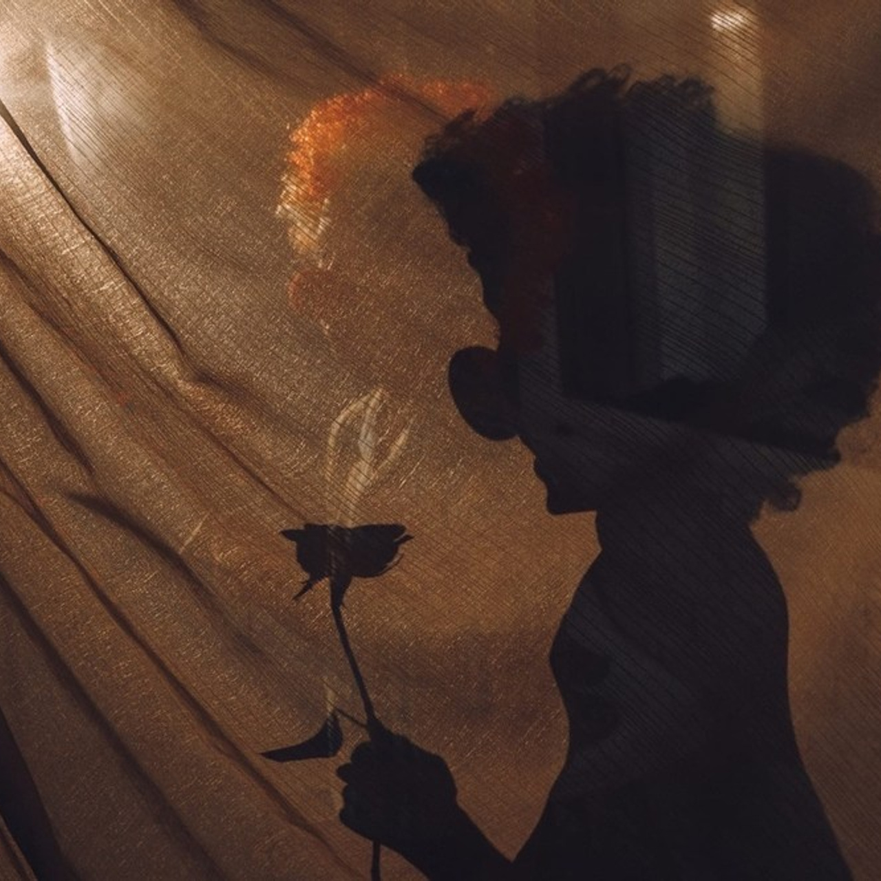 ОНЛАЙН-ВЫСТАВКИ ТВОРЧЕСКИХ ПРАКТИК: авторская фотография участников