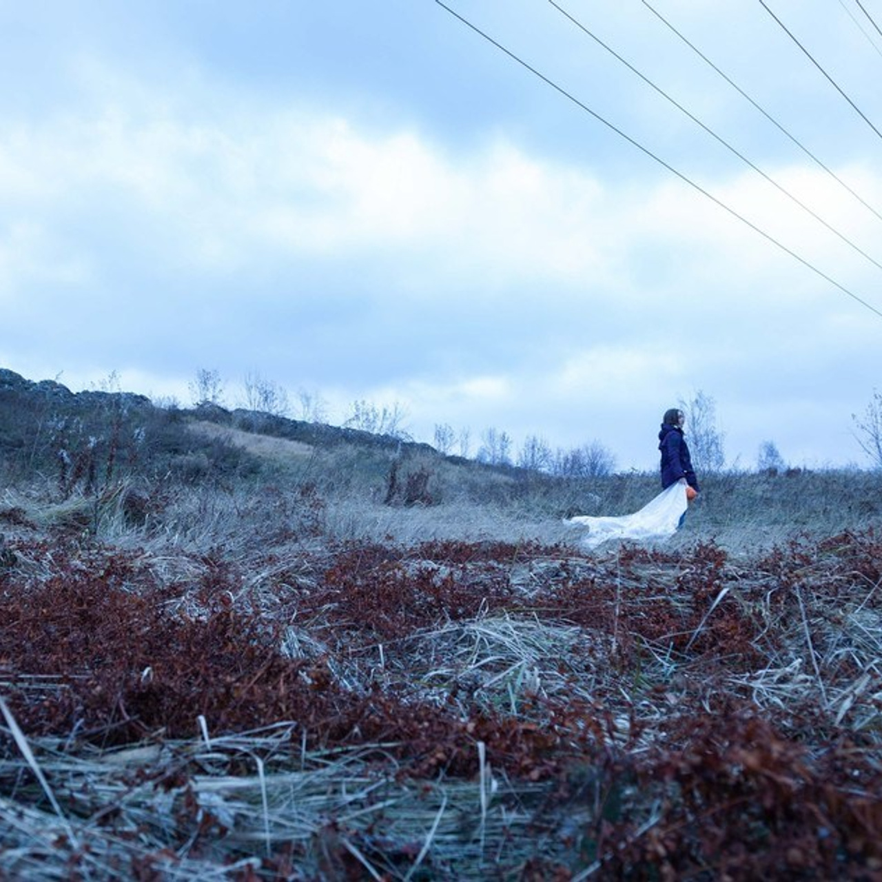 ОНЛАЙН-ВЫСТАВКИ ТВОРЧЕСКИХ ПРАКТИК: авторская фотография участников