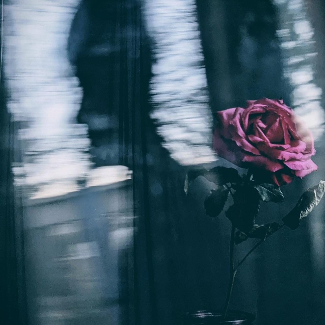 Выставки фотографий участников клуба «ПРОСТРАНСТВО» | Марусина Мастерская