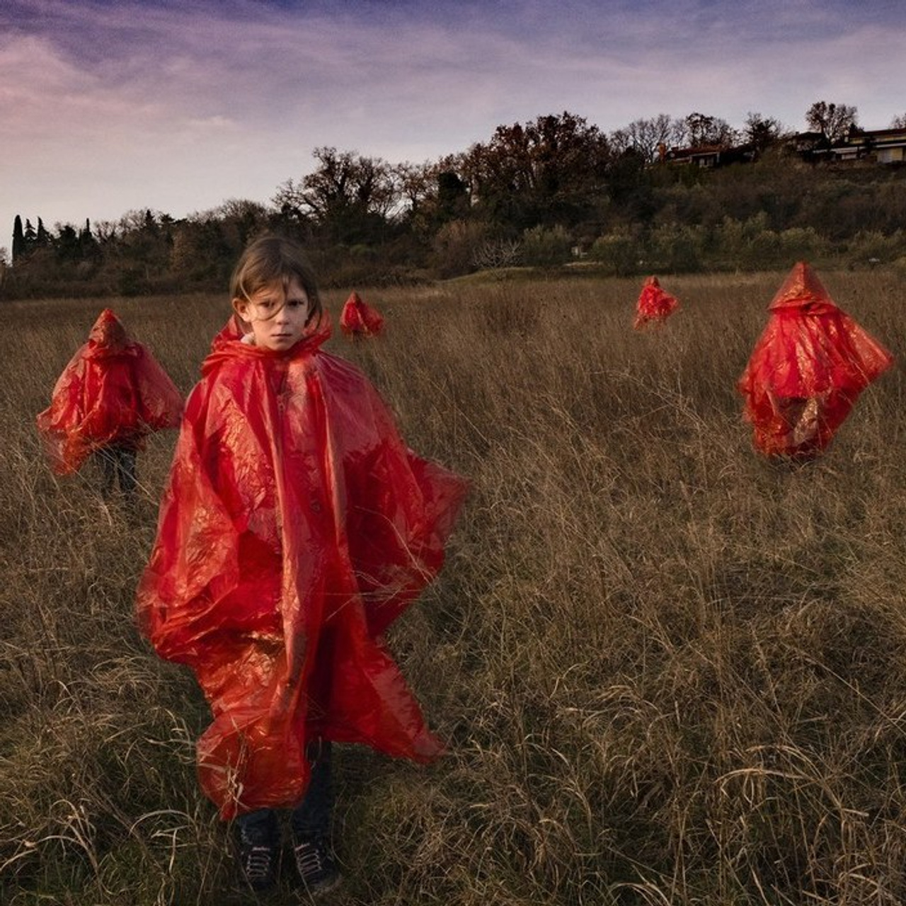 ОНЛАЙН-ВЫСТАВКИ ТВОРЧЕСКИХ ПРАКТИК: авторская фотография участников