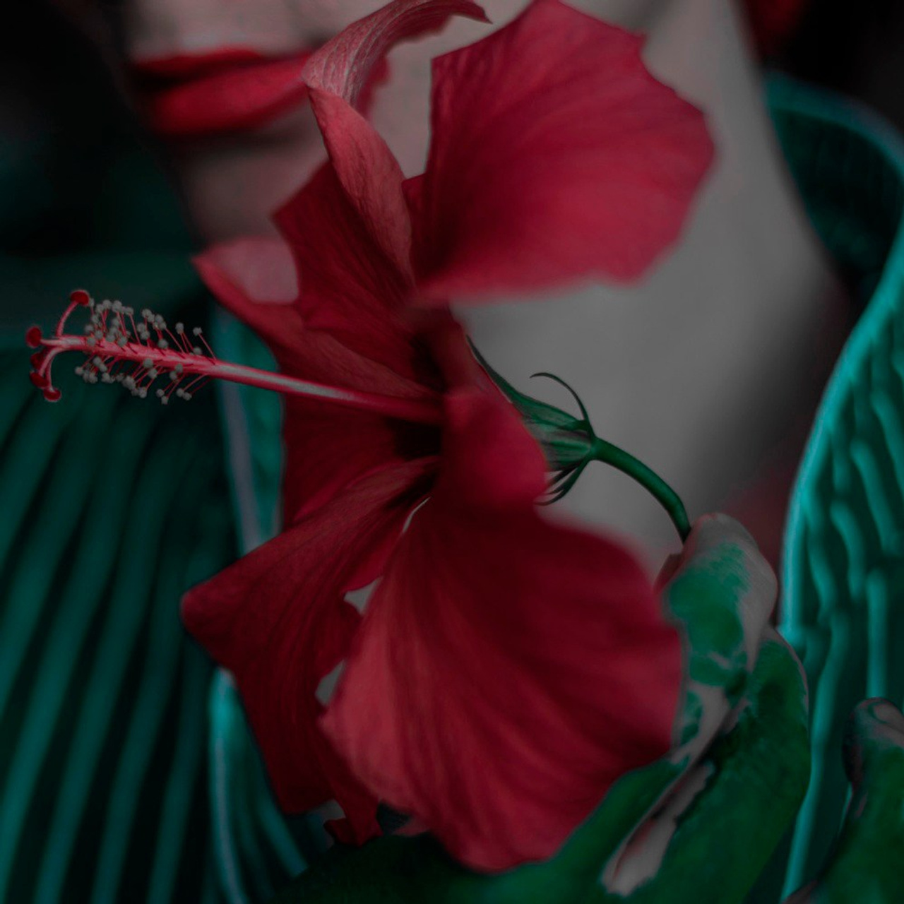 Коллекция ПРОСТРАНСТВО ЛЕТО 2025