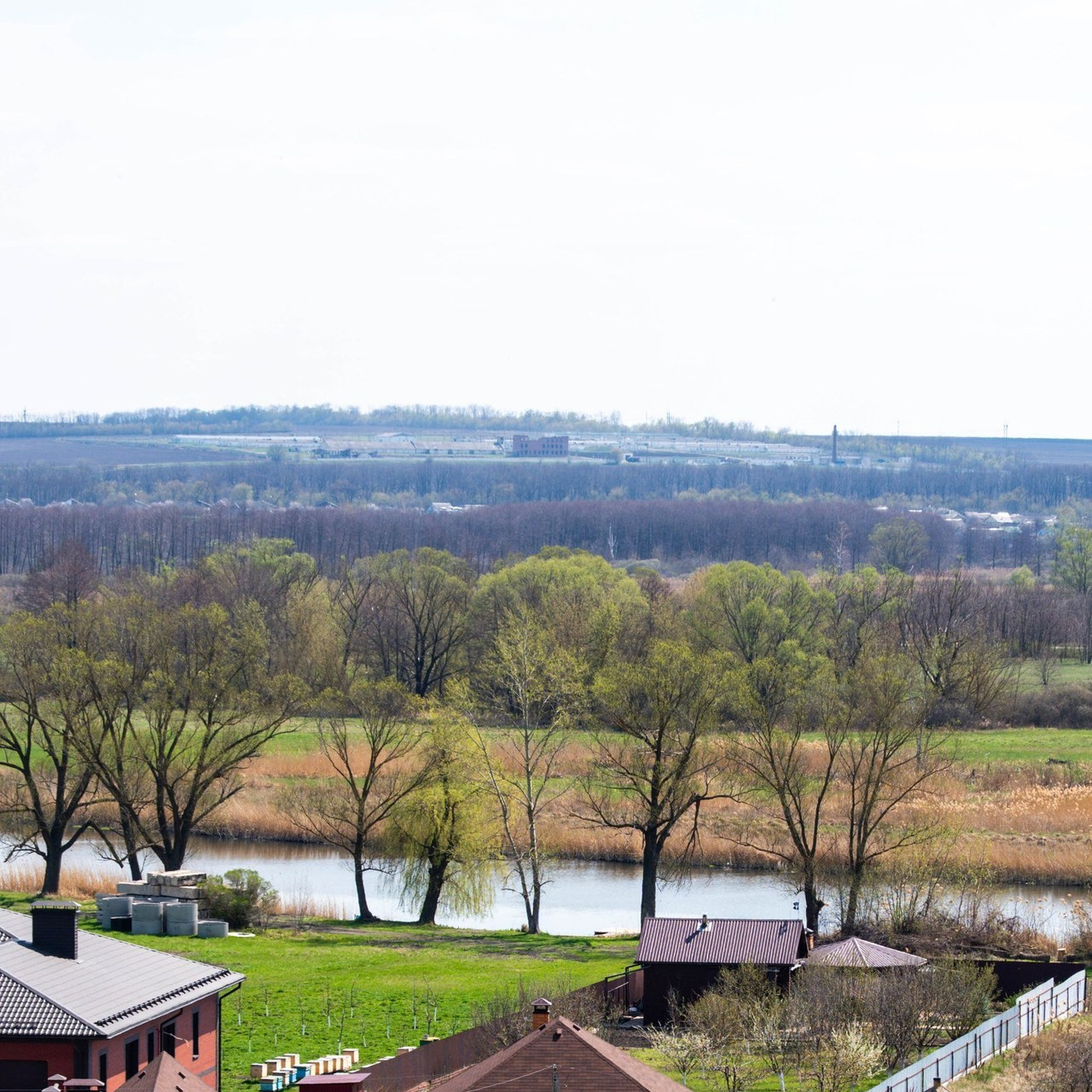 Отзывы. Демьянова Елизавета Фотограф