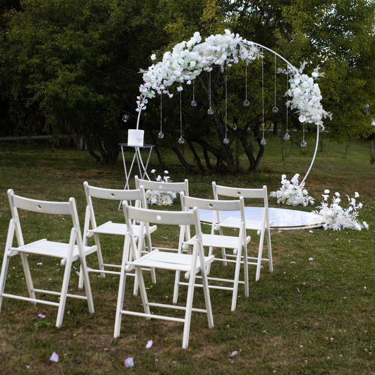 Отзывы. Демьянова Елизавета Фотограф