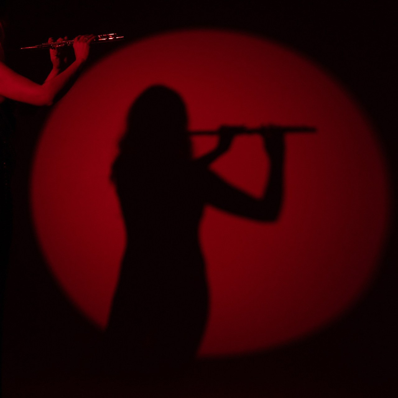 Feedback. Art photographer Katerina Klio