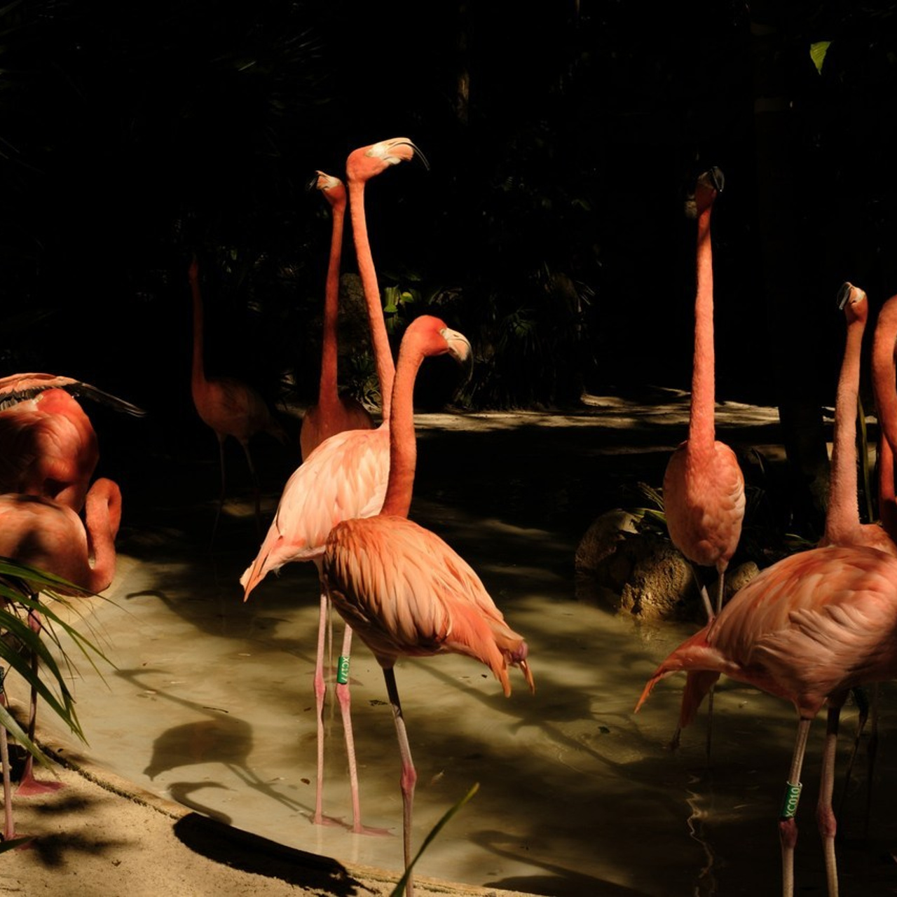 Review. Margarita Rodionova — a contemporary lens-based artist currently working in Cancun, Mexico