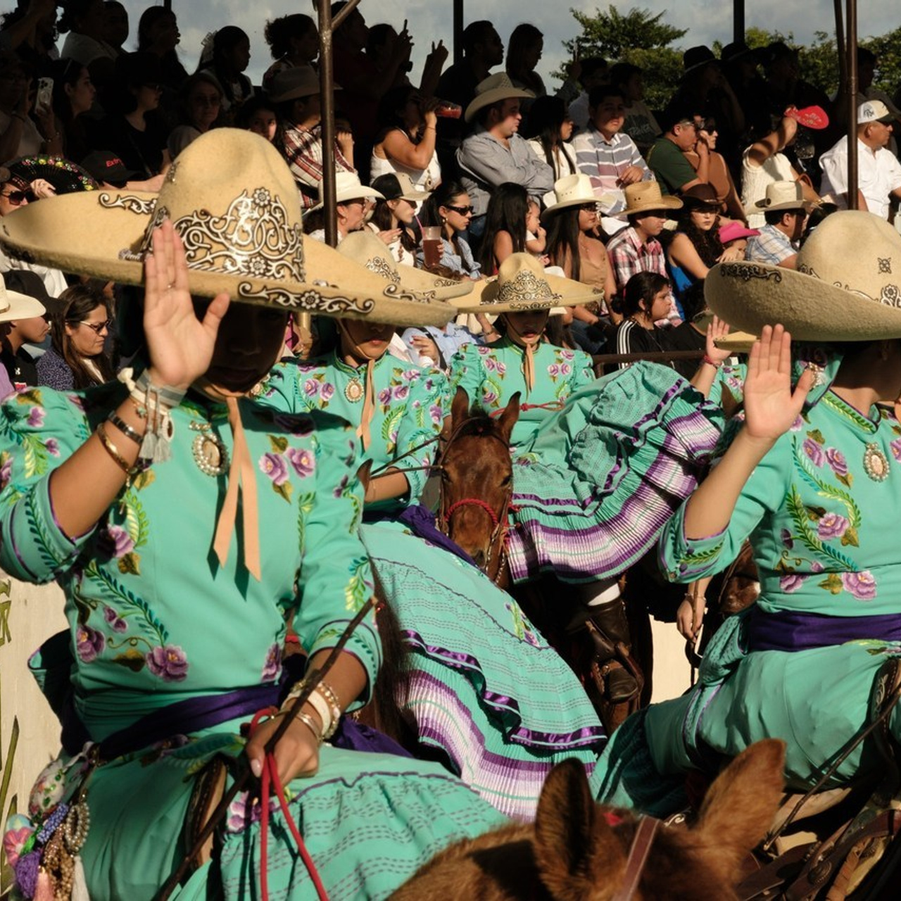 Review. Margarita Rodionova — a contemporary lens-based artist currently working in Cancun, Mexico