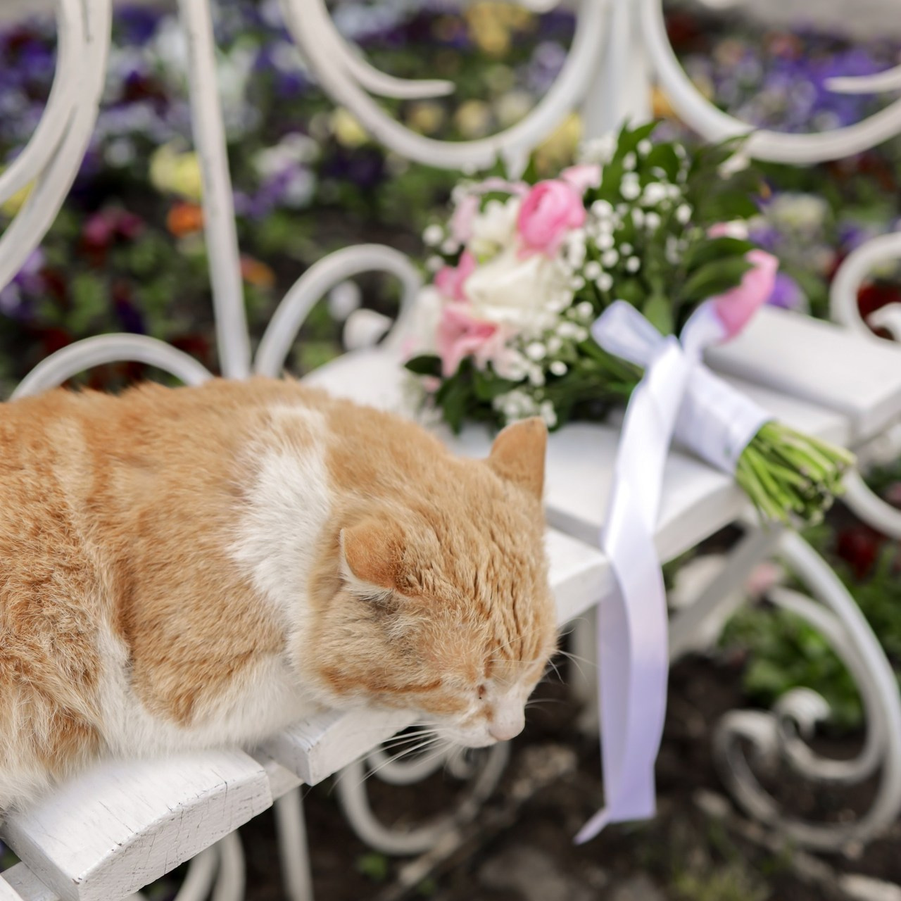 Отзывы. Свадебный фотограф в Крыму