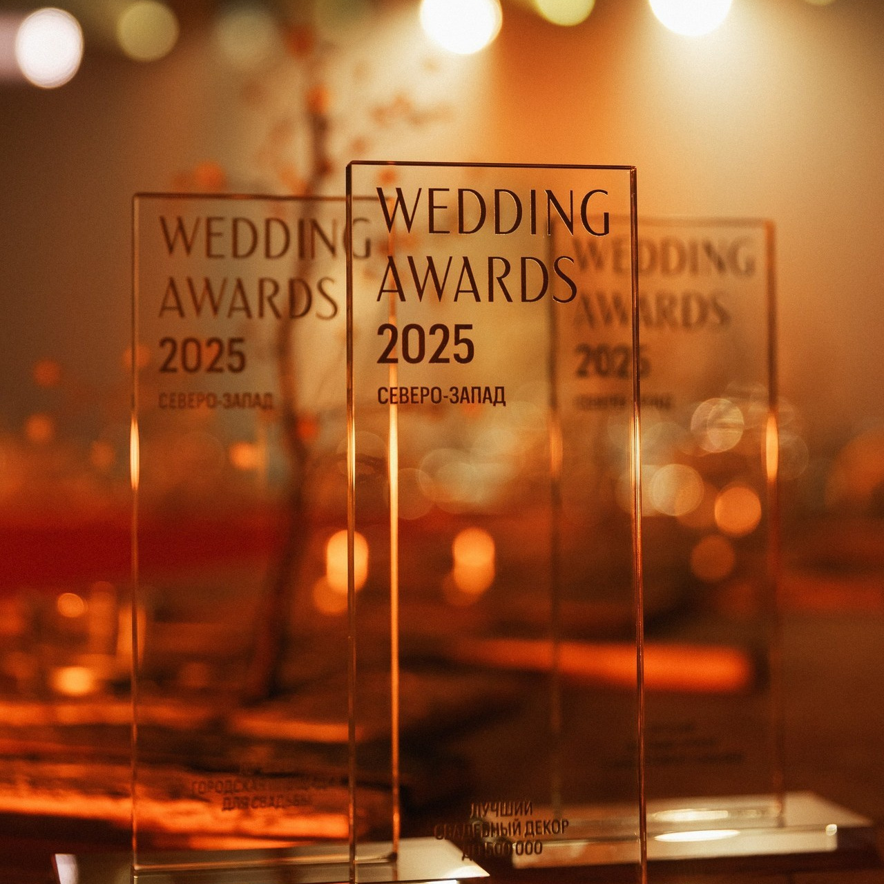 Отзывы. NesterovaMaria.ru