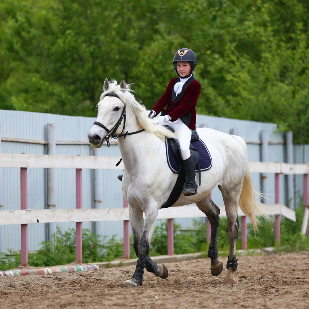 Отзывы. Конный фотограф в Благовещенске-Мария Балабанова
