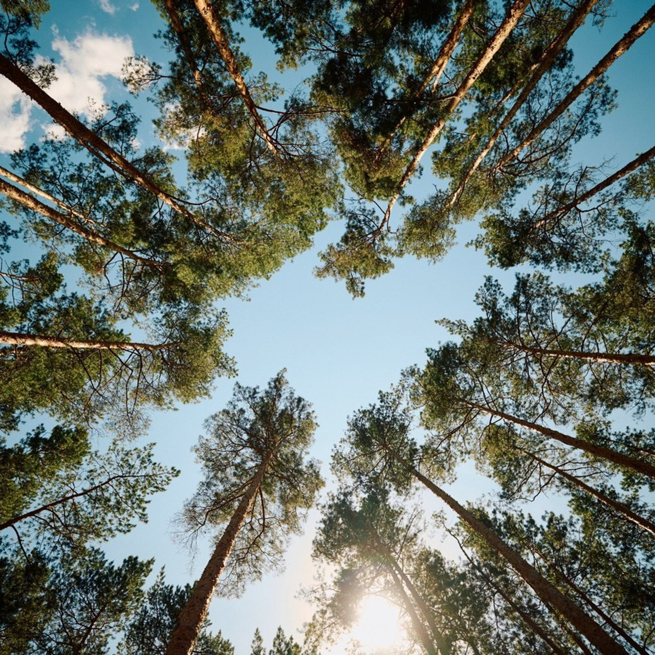Отзывы. Репортажный фотограф в Самаре Артем Арсентьев