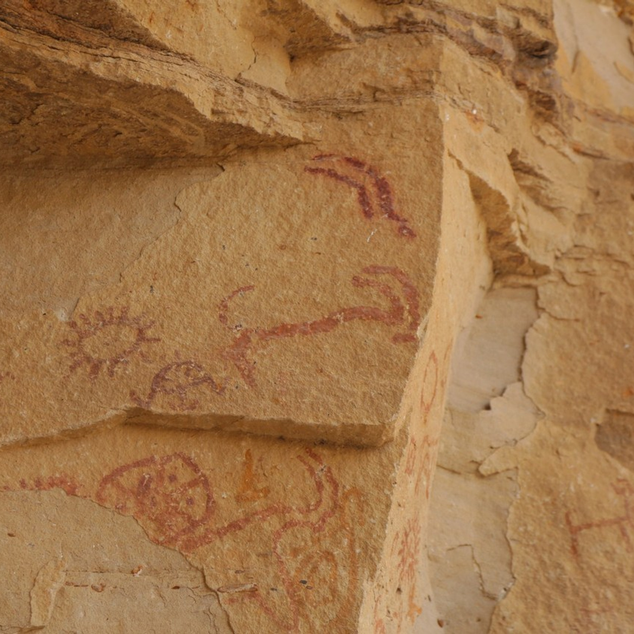 Отзывы. ДЕТСКИЙ / СЕМЕЙНЫЙ ФОТОГРАФ ДЕРБЕНТ ДЖАМИЛЯ