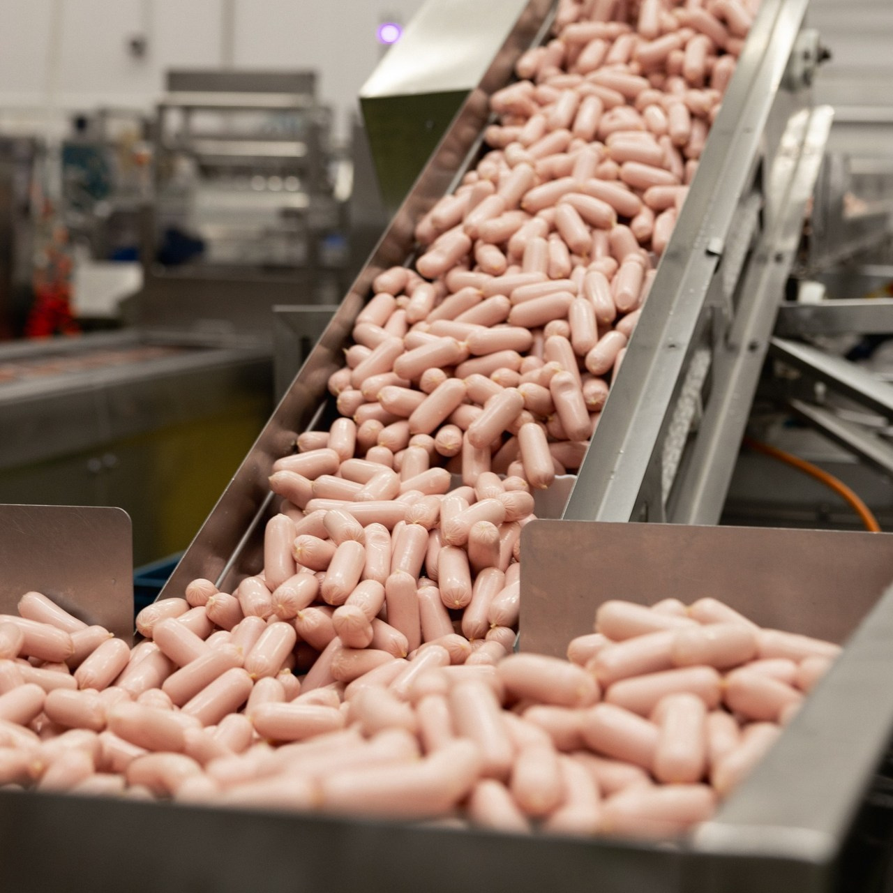 Отзывы. Фотограф Татьяна Жихарева