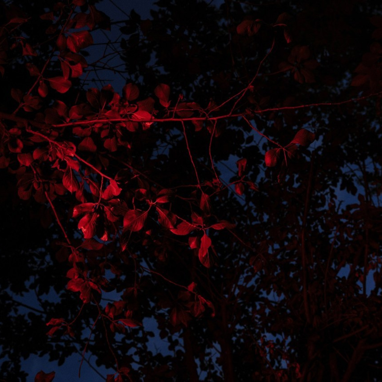 Feedback. Фотограф Юрин Евгений