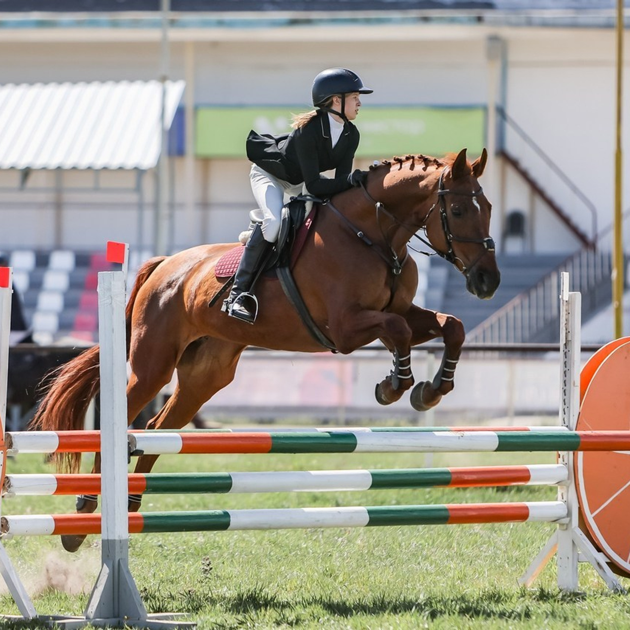 Отзывы. Главная