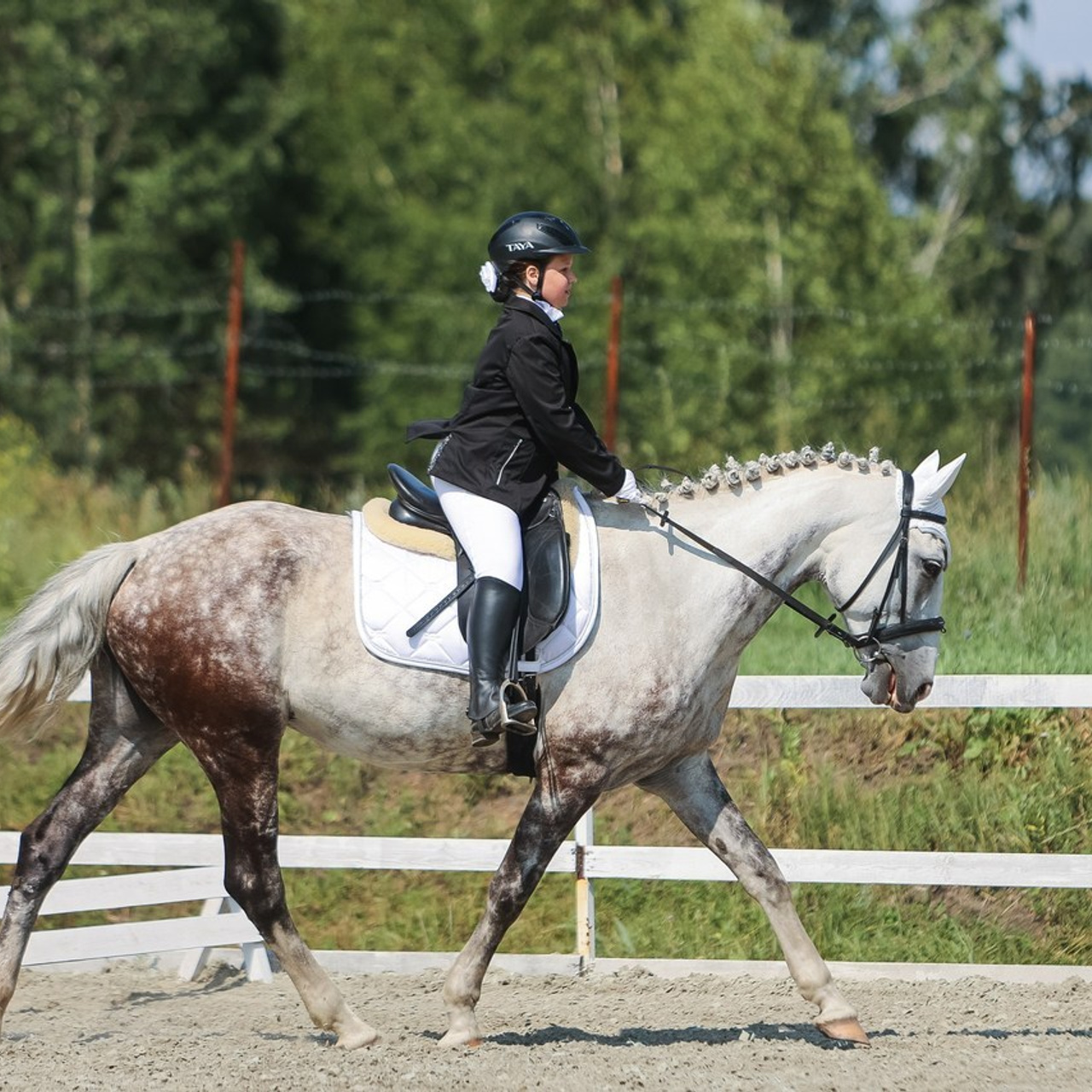 Отзывы. Главная