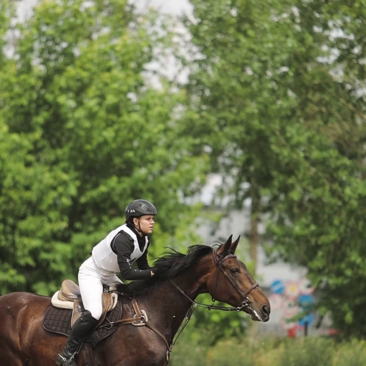 Отзывы. Главная