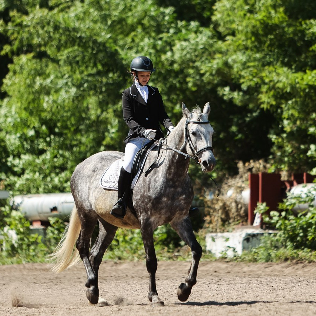 Отзывы. Главная