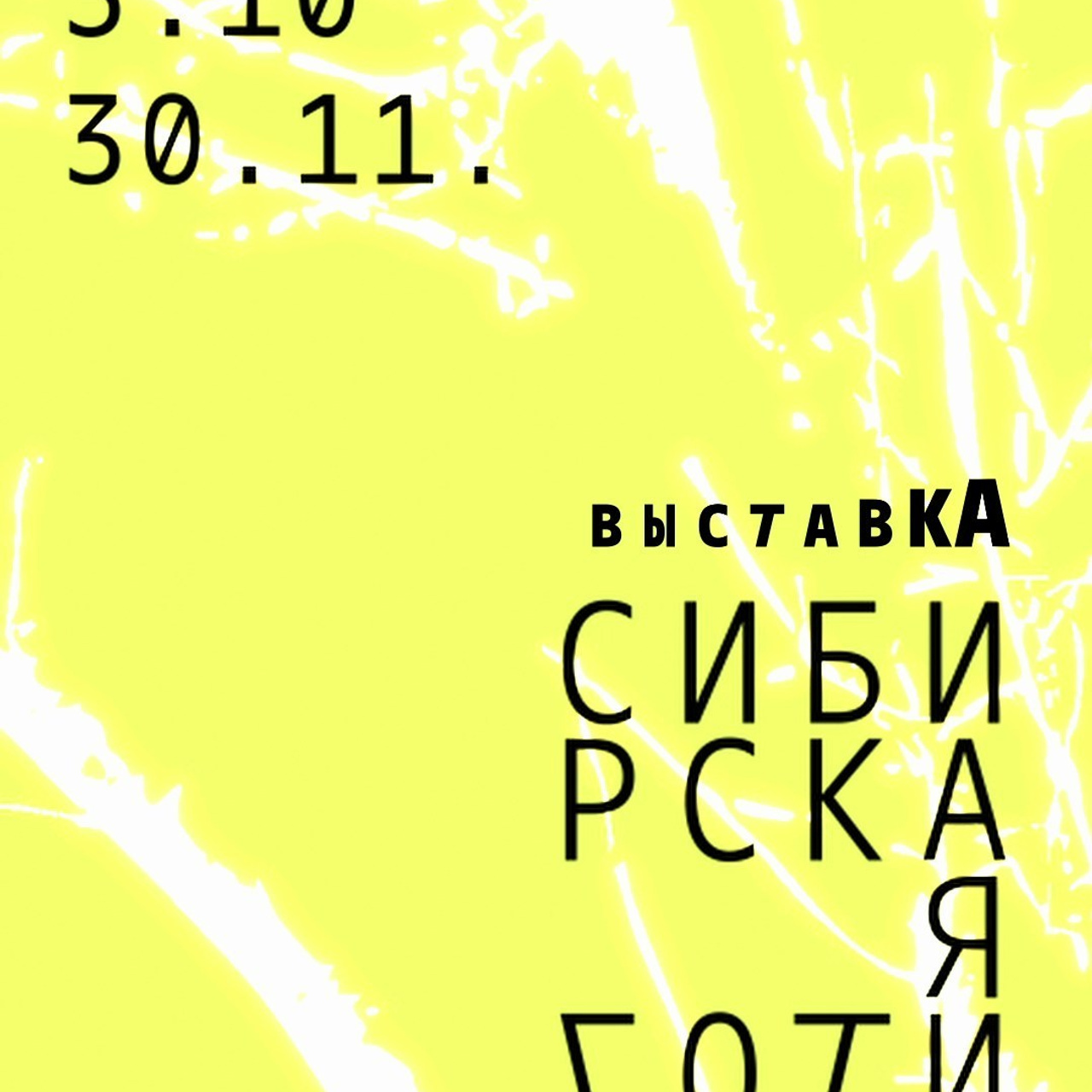 Отзывы. Видеограф Дарья Букина