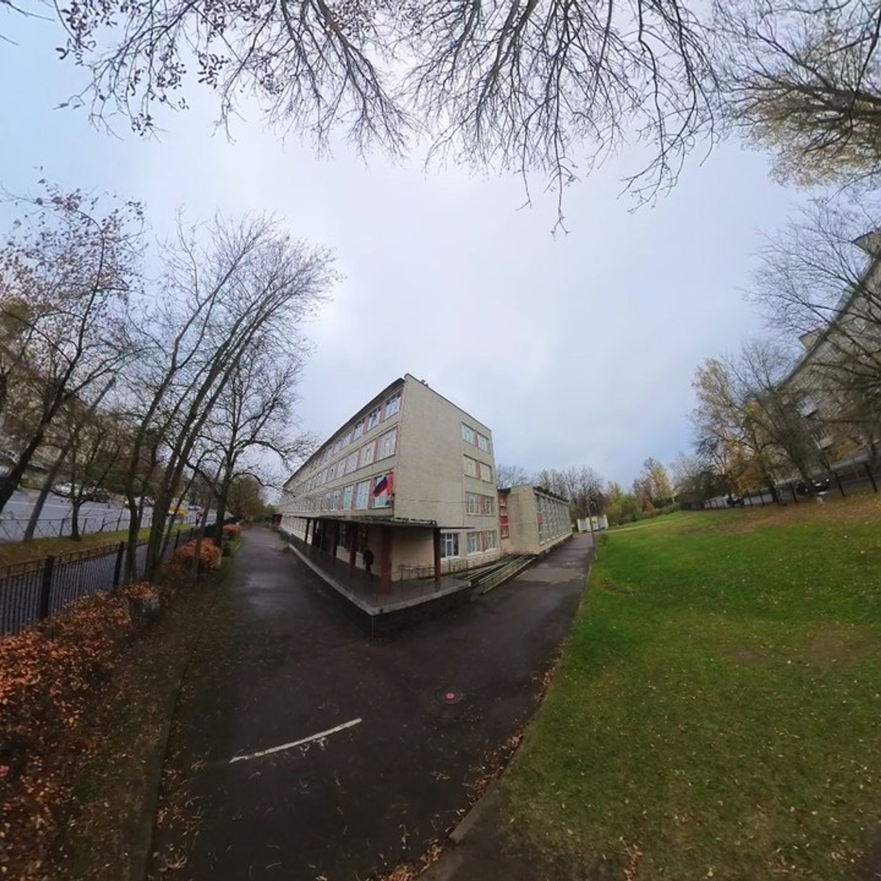 Отзывы. Видеограф Дарья Букина