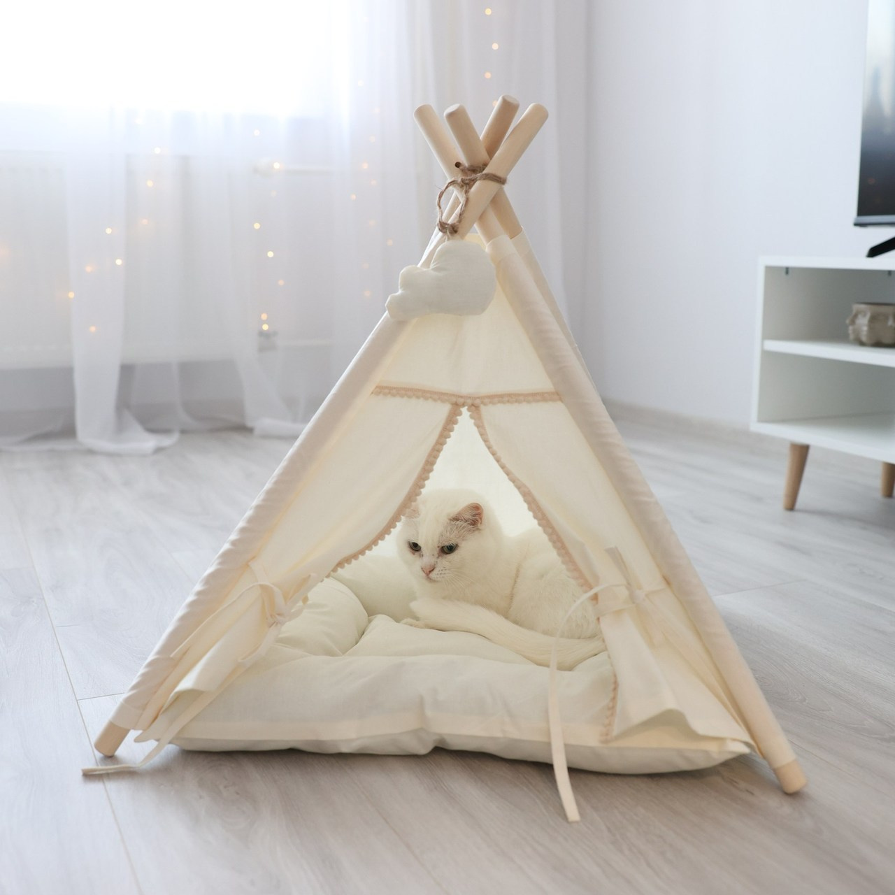 Отзывы. Александр Кашин, репортажный фотограф в Челябинске и Екатеринбурге